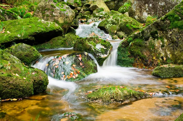 Stream in bergen Jizerské Hory, Tsjechië — Stockfoto