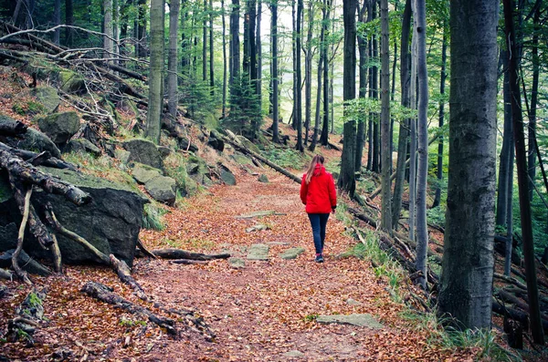 Ormanda yürüyüş yapan kadın. — Stok fotoğraf