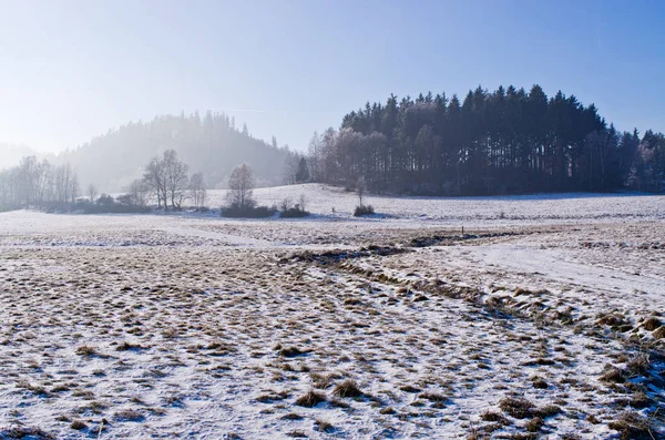 tepelerde kış manzarası