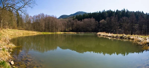 Sonbahar sırasında gölet — Stok fotoğraf