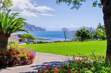 Güzel park Funchal, Madeira, Portekiz