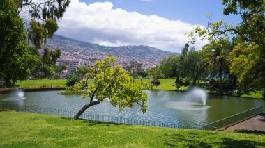 Park su birikintisi ve çeşmeler, Funchal, Madeira ile