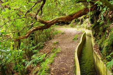 Levada do Norte, Madeira island - Portugal