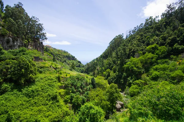 Zelené kopce ostrova Madeira, Portugalsko — Stock fotografie