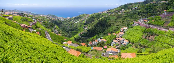 Wide view from "Levada do Norte" - Madeira island, Portugal — стокове фото