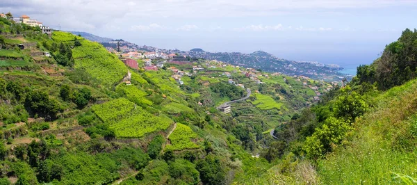 Ampia vista da "Levada do Norte" - Isola di Madeira, Portogallo — Foto Stock
