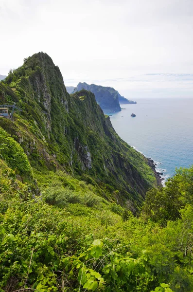 Zelené Útesy Ostrova Madeira Poblíž Porto Cruz Portugalsko — Stock fotografie