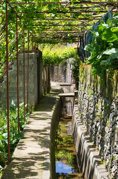 Levada Norte Madeira Portugal — Stockfoto