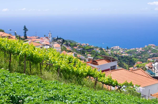 Wide View Levada Norte Camara Lobos Madeira Island Portugal — Stock Photo, Image
