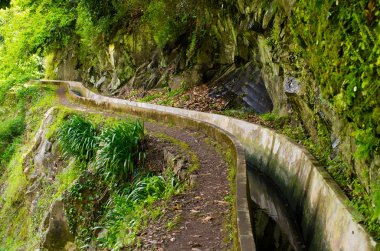 Levada do Norte, Madeira island - Portugal