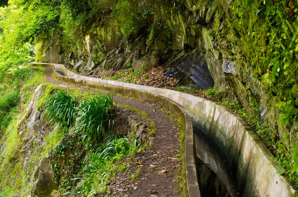 Levada do Norte, Madeira island - Portugal — Stock Photo, Image