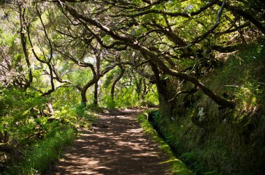 Madeira Adası, Portekiz 'de 25 Fontes levada