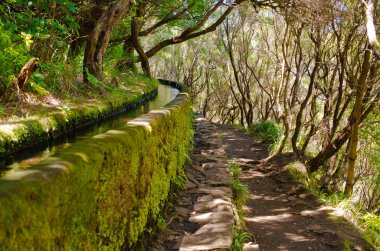 Madeira Adası, Portekiz 'de 25 Fontes levada