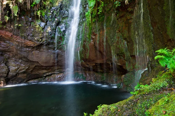 Fluxo e cachoeira na floresta, Madeira, Portugal — Fotografia de Stock