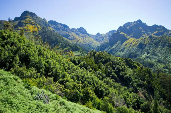 Vale da Serra de Água na ilha da Madeira, Portugal — Fotografia de Stock