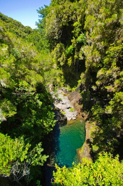 Bach im Wald, Madeira, Portugal — Stockfoto