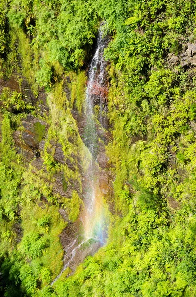 Cachoeira na floresta, Madeira, Portugal — Fotografia de Stock