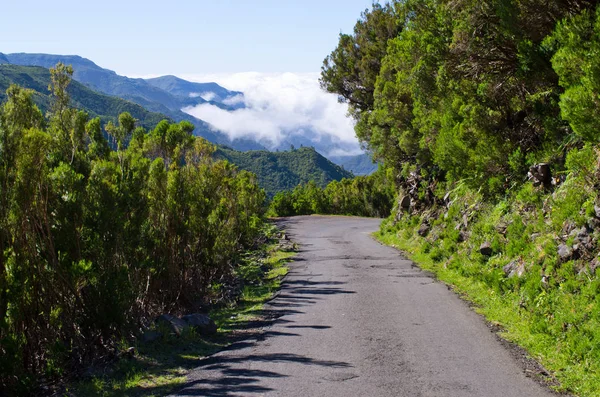 Paisagem com nuvens rastejantes, Madeira, Portugal — Fotografia de Stock