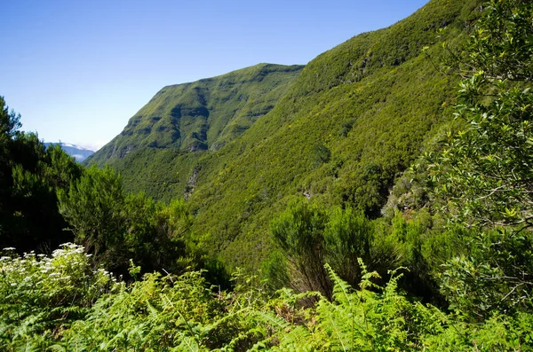 Paisagem com colinas e floresta, Madeira, Portugal — Fotografia de Stock