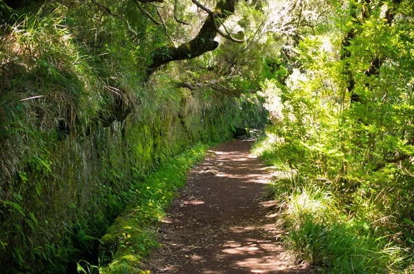 ポルトガルのマデイラ島にある25 Fontes levada — ストック写真