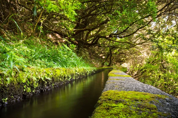 25 Fontes levada on Madeira island, Portugal — 스톡 사진