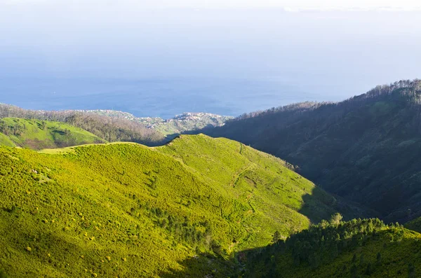 Foggy landscape on Paul da Serra plateau, Madeira, Portugal — Stock fotografie