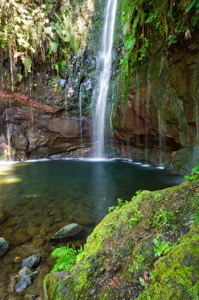 Bach und Wasserfall im Wald, Madeira, Portugal — Stockfoto