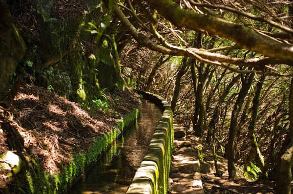 Madeira Adası, Portekiz 'de 25 Fontes levada — Stok fotoğraf