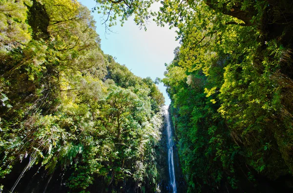 Cascata e cielo nella foresta, Madeira, Portogallo — Foto Stock