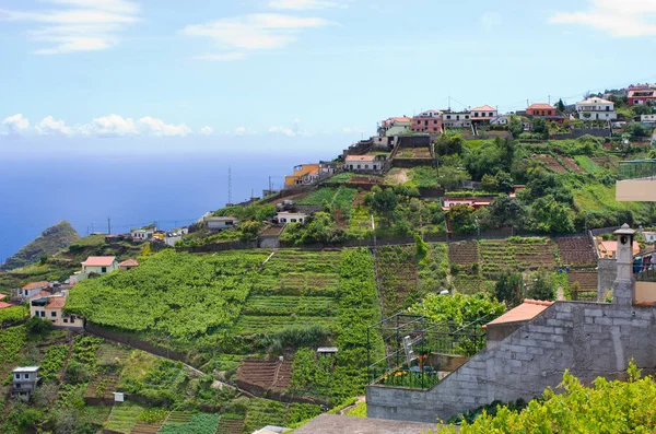 Ampla vista da Levada do Norte - Ilha da Madeira, Portugal — Fotografia de Stock