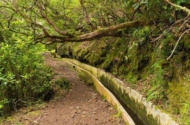 Levada da Portela, Madeira, Portugal