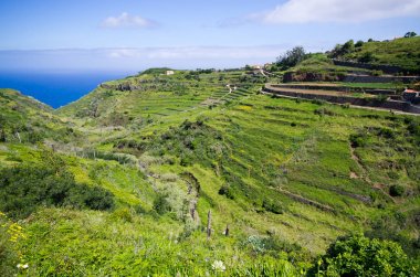 Sahil Madeira Adası, Ponta yapmak Pargo, Portekiz