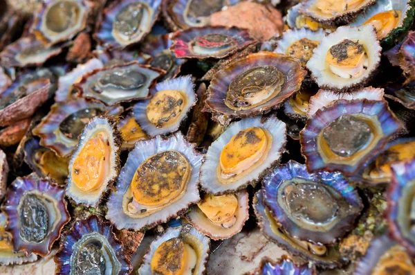 Limpets en el mercado de pescado, Madeira, Portugal — Foto de Stock