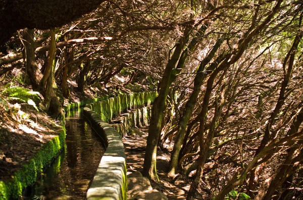 Madeira Adası, Portekiz 'de 25 Fontes levada — Stok fotoğraf