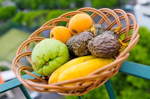 Různé typy vášeň ovoce, Madeira, Portugalsko — Stock fotografie