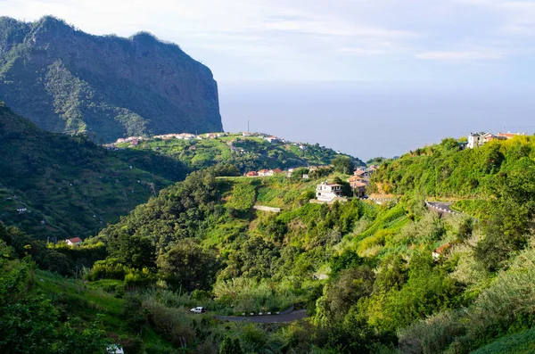 Gröna kullar nära Porto da Cruz, ön Madeira - Portugal — Stockfoto