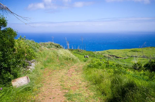 Costa de la isla de Madeira, Ponta do Pargo, Portugal — Foto de Stock