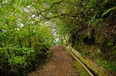 Levada da Portela, Madeira, Portugal