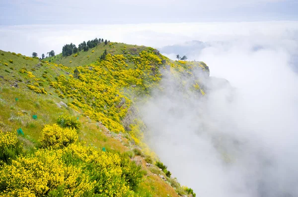 Mglisty widok w górach, Madera, Portugalia — Zdjęcie stockowe