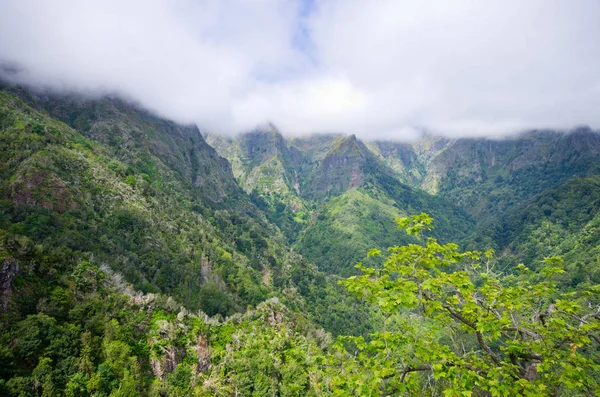 Balcoes hlediska, ostrov Madeira, Portugalsko — Stock fotografie