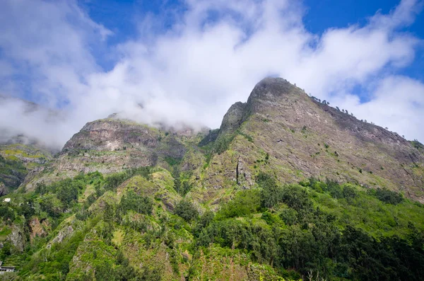 Zamlžené stanovisko v horách, Madeira, Portugalsko — Stock fotografie