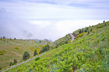 Sisli dağlar, Madeira, Portekiz görünümünde