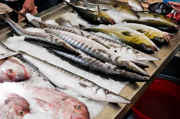 Varios peces en el mercado, Madeira, Portugal — Foto de Stock