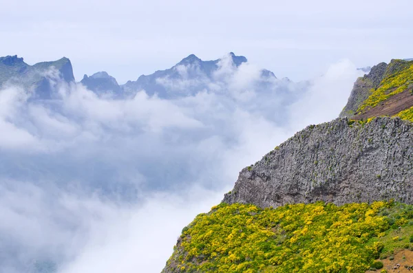 Foggy view in mountains, Madeira, Portogallo — Foto Stock