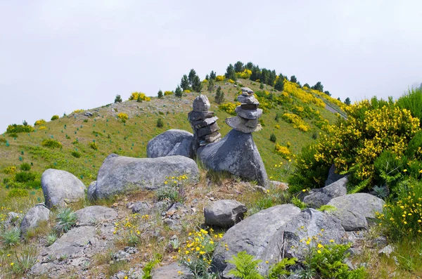 Nebelschwaden in den Bergen, Madeira, Portugal — Stockfoto