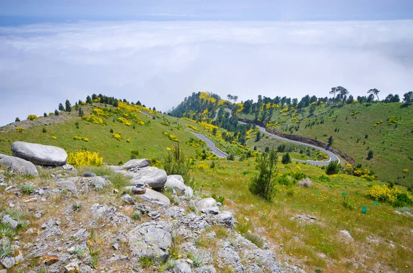 Vista nebulosa nas montanhas, Madeira, Portugal — Fotografia de Stock