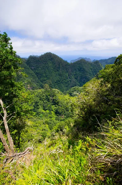 View from Levada da Portela, Madeira, Portugal — Stock fotografie