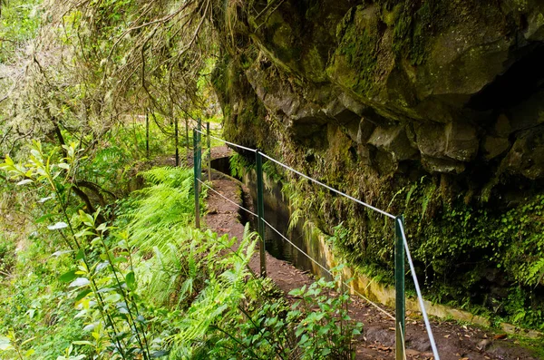 Levada da Portela, Madeira, Portugal — Stockfoto