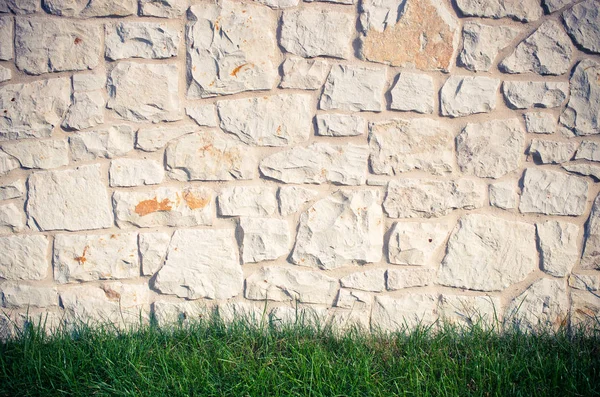 Stenen Muur Gras Voor Achtergrond Gebruik — Stockfoto