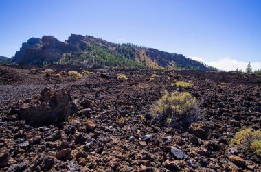İspanya 'nın Tenerife adasında volkanik manzara